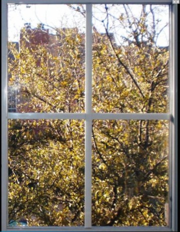 Fogged Thermopane Replacement — after