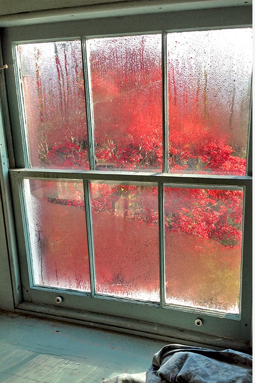 Condensation-Damaged Sash Window — before
