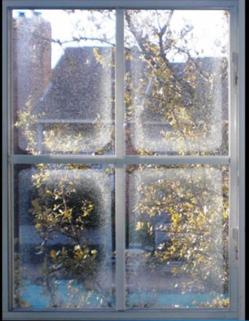 Fogged Thermopane Replacement — before